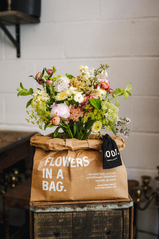 The Spring Flowers in a Bag Subscription