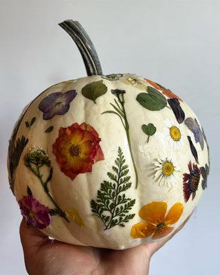 Wine & Design: Botanical Pumpkins Workshop | Nov. 3rd, Bedell Cellars