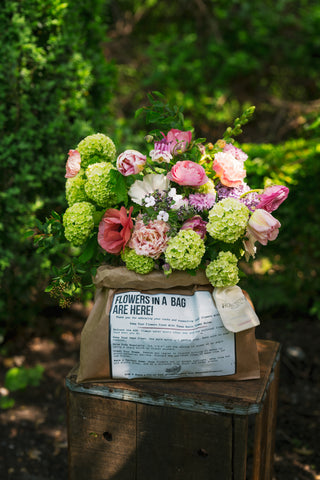 The Spring Flowers in a Bag Subscription