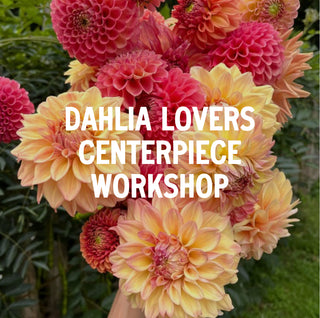 Dahlia Lovers Centerpiece Workshop | September 18th