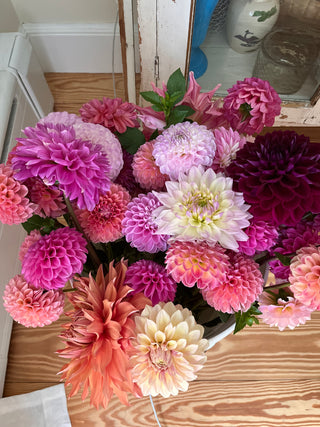 Friday Night Flowers: The Dahlia Lovers Workshop - August 2nd