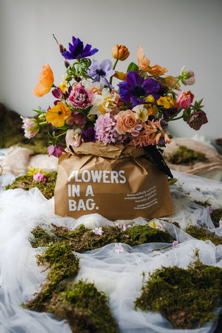 The Spring Flowers in a Bag Subscription