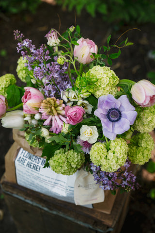 The Spring Flowers in a Bag Subscription