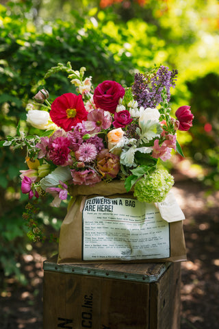 The Spring Flowers in a Bag Subscription