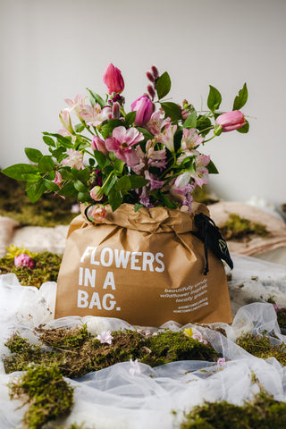 The Spring Flowers in a Bag Subscription