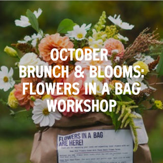 Brunch & Blooms Monthly Floral Design Workshop | October 6th