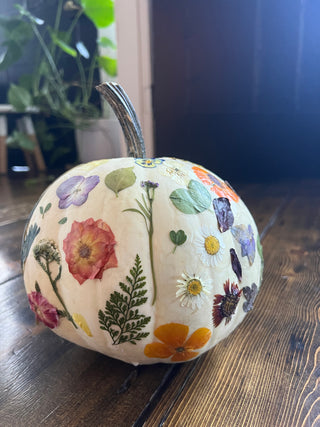 Wine & Design: Botanical Pumpkins Workshop | Nov. 3rd, Bedell Cellars