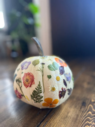 Wine & Design: Botanical Pumpkins Workshop | Nov. 3rd, Bedell Cellars