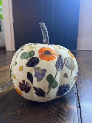 Wine & Design: Botanical Pumpkins Workshop | Nov. 3rd, Bedell Cellars