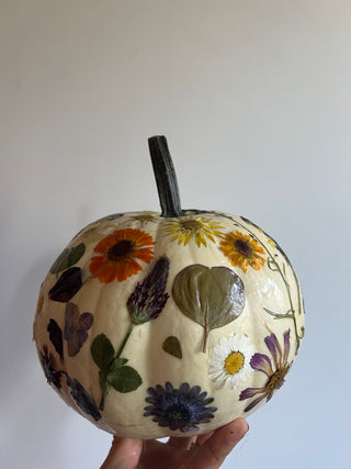 Wine & Design: Botanical Pumpkins Workshop | Nov. 3rd, Bedell Cellars