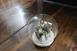 The Snow Globe