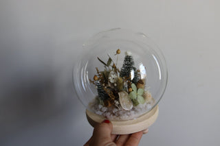 The Snow Globe