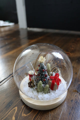 The Snow Globe